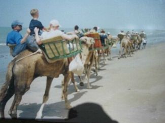 excursie Camel safari